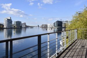 Adform, Copenhagen and Career Star Group Outplacement Case Study