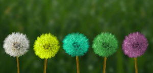 Top 5 Skills Recruiters Look For During The Pandemic