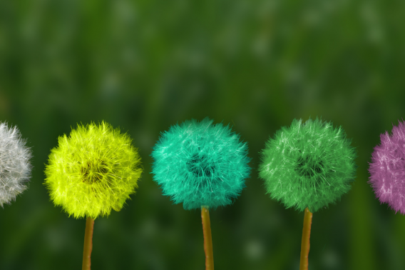 Top 5 Skills Recruiters Look For During The Pandemic