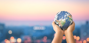 global outplacement organisation